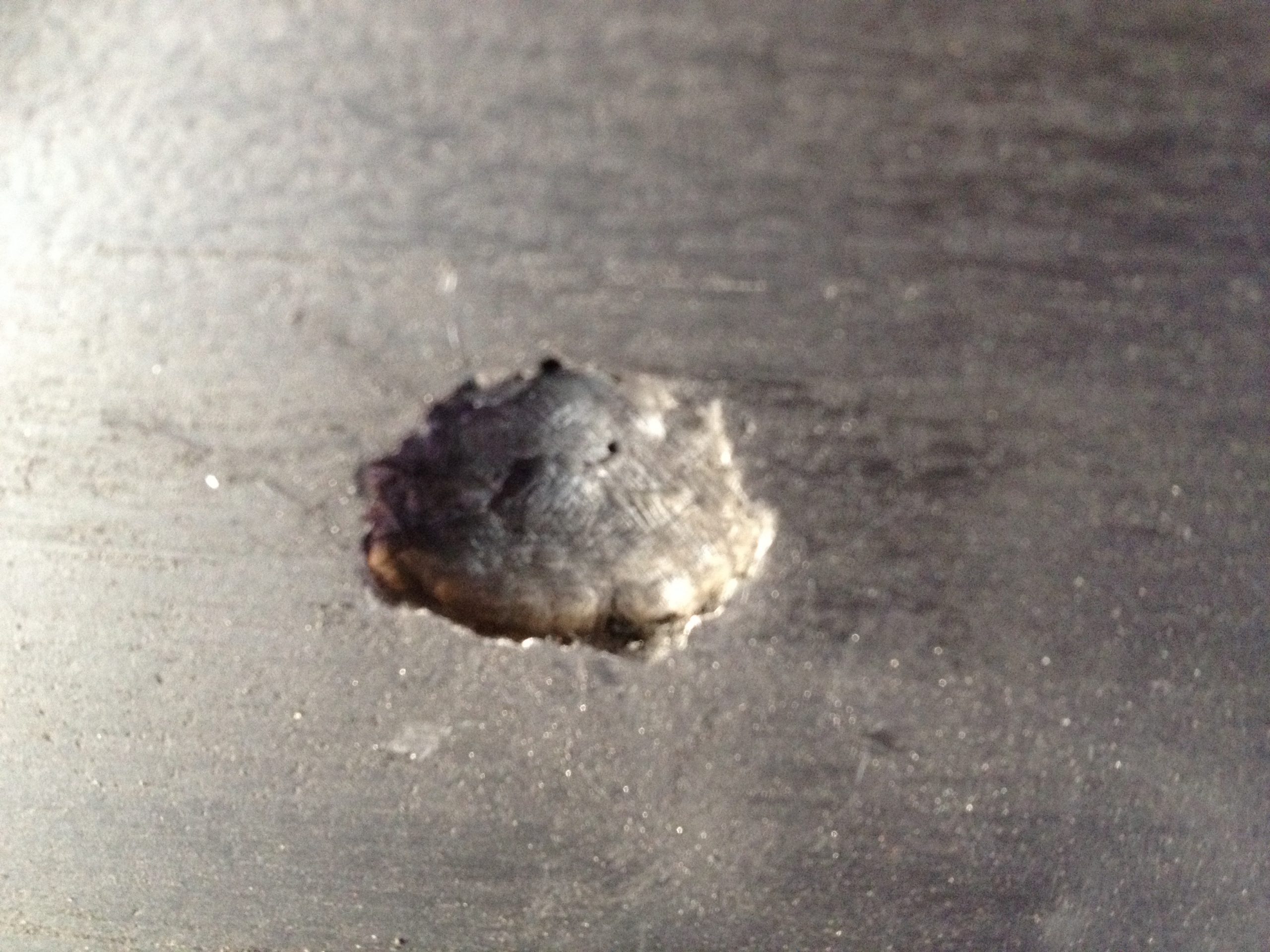 MIC internal pitting biocide