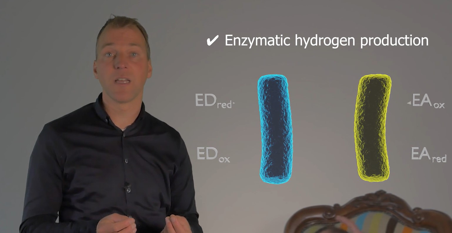 explanation of Microbiologically influenced corrosion mechanisms.